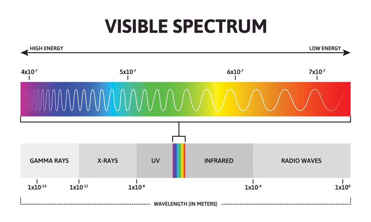No hay texto alternativo para esta imagen