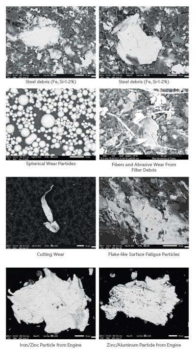 No hay texto alternativo para esta imagen